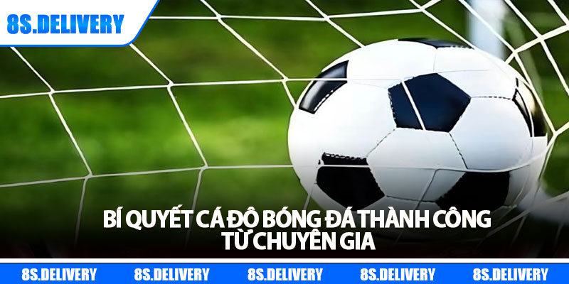 Cá Độ Bóng Đá – Hướng Dẫn Cơ Bản Cần Biết Cho Newbie 7 Bí quyết cá độ bóng đá thành công từ chuyên gia