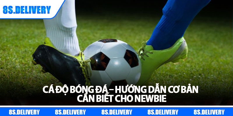 Cá Độ Bóng Đá – Hướng Dẫn Cơ Bản Cần Biết Cho Newbie 4 Cá Độ Bóng Đá – Hướng Dẫn Cơ Bản Cần Biết Cho Newbie