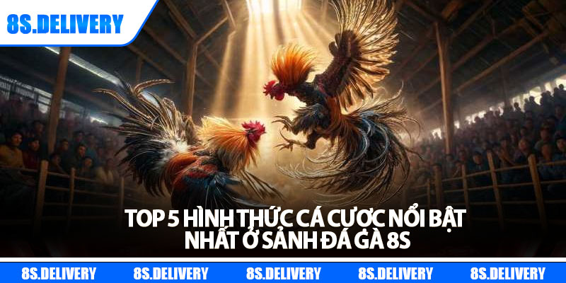 Đá Gà 8s – Sôi Động Từng Trận Đấu, Thắng Lớn Mỗi Ngày 2 Top 5 hình thức cá cược nổi bật nhất ở sảnh Đá gà 8s